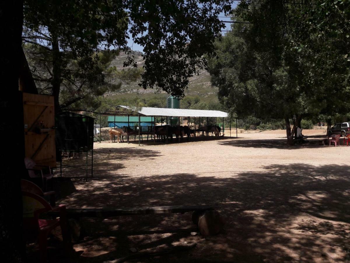 Sierra De Cazorla Βίλα Arroyo Frio Εξωτερικό φωτογραφία
